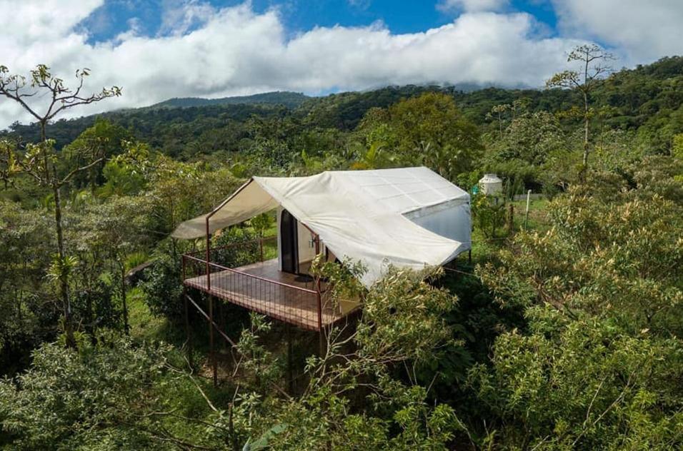 Garza Del Sol Glamping Rio Celeste Buganvilia Екстериор снимка