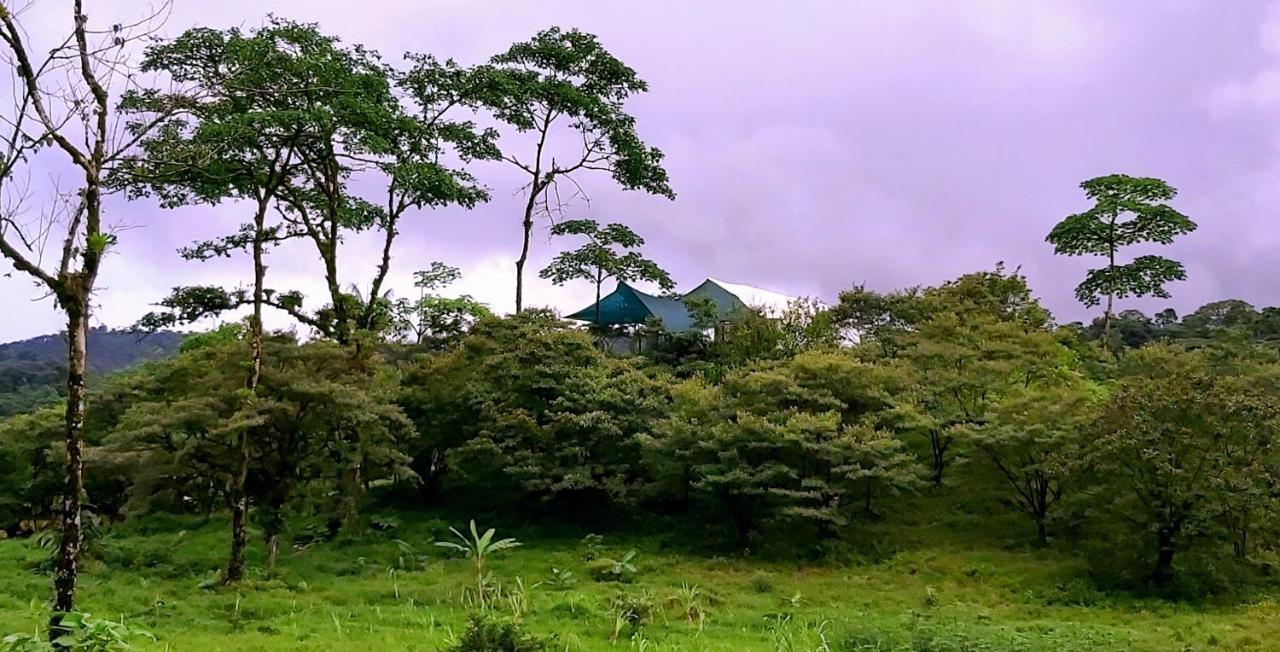 Garza Del Sol Glamping Rio Celeste Buganvilia Екстериор снимка
